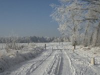 NL, Noord-Brabant, Alphen-Chaam, Strijbeekse Heide 7,  Saxifraga-Jan van der Straaten